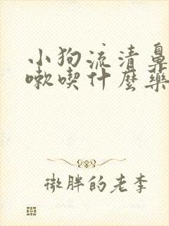 小狗流清鼻涕咳嗽吃什么药封面