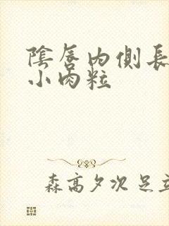 阴唇内侧长了个小肉粒