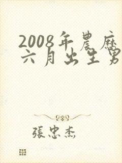 2008年农历六月出生男孩终生命运