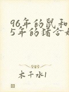 96年的鼠和95年的猪合婚吗