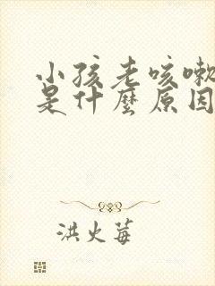 小孩老咳嗽不好是什么原因