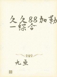 久久88加勒比—综合