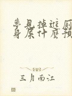 梦见掉进厕所一身屎什么预兆