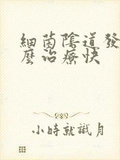 细菌阴道发炎怎么治疗快