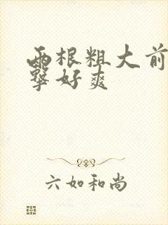 两根粗大前后夹击好爽