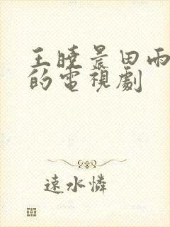 王晓晨田雨主演的电视剧