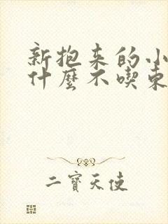 新抱来的小狗为什么不吃东西封面