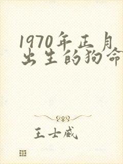 1970年正月出生的狗命运
