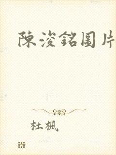 陈浚铭图片神图