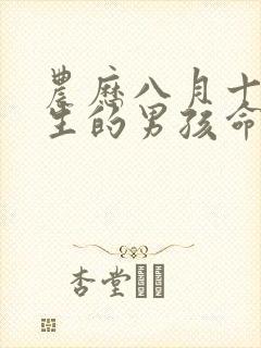 农历八月十六出生的男孩命运如何封面