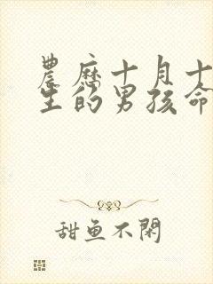 农历十月十九出生的男孩命运如何