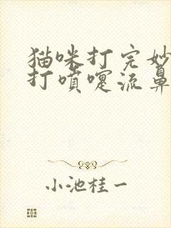 猫咪打完妙三多打喷嚏流鼻涕