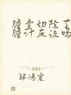 胆囊切除了还会胆汁反流吗