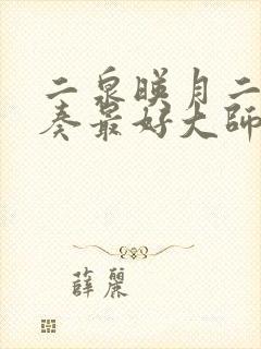 二泉映月二胡独奏最好大师