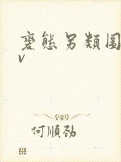 变态另类图区av