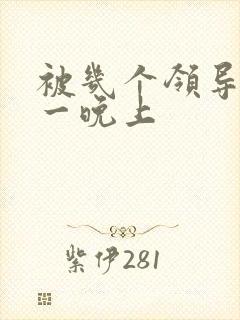 被几个领导玩弄一晚上