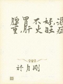 脾胃不好,湿气重,肝火旺症状