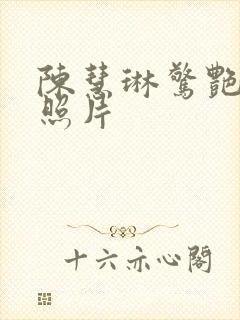 陈慧琳惊艳高清照片