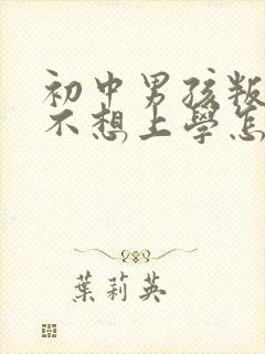 初中男孩叛逆期不想上学怎么办封面