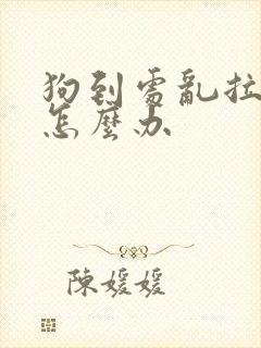 狗到处乱拉乱尿怎么办