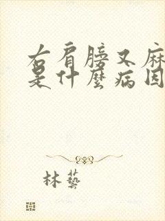 右肩膀又麻又疼是什么病因封面