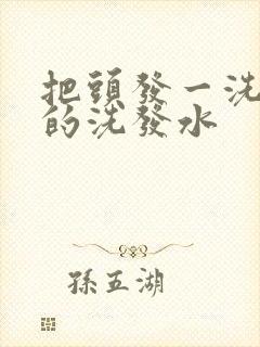 把头发一洗就黑的洗发水封面