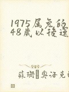 1975属兔的48岁以后运气封面