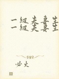 一级夫妻生活片一级夫妻生活又大又爽