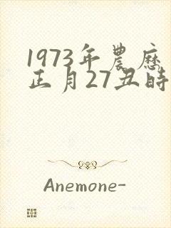 1973年农历正月27丑时出生男的命运怎样
