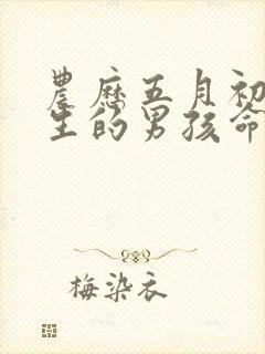 农历五月初三出生的男孩命运