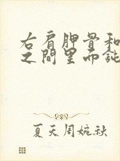 右肩胛骨和脊柱之间里面钝痛