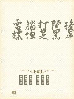 电脑打开后有鼠标但是黑屏