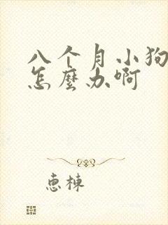 八个月小狗拉稀怎么办啊封面