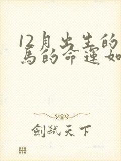 12月出生的属马的命运如何