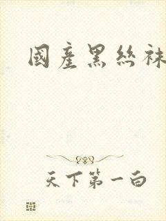 国产黑丝袜自拍封面