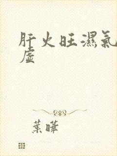 肝火旺湿气重脾虚