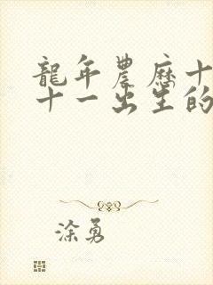 龙年农历十一月十一出生的人命运