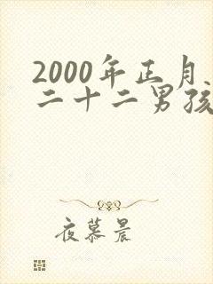 2000年正月二十二男孩命运