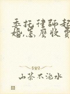 委托律师起诉离婚,怎么收费的封面