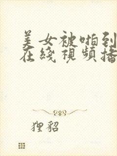 美女被啪到高潮在线视频播放