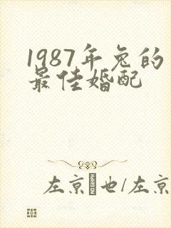 1987年兔的最佳婚配