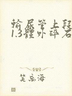 输尿管上段结石1.3体外碎石可以吗