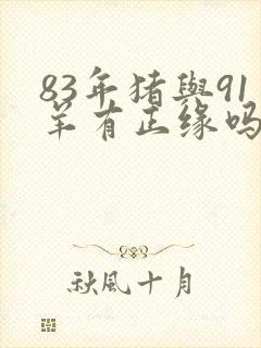 83年猪与91羊有正缘吗封面