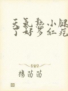 天气热小腿上起了好多红疙瘩很痒