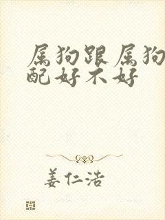 属狗跟属狗的婚配好不好