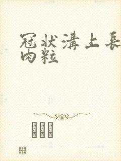 冠状沟上长出小肉粒