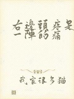 右边头疼是一阵一阵的痛