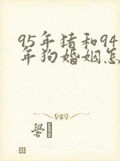 95年猪和94年狗婚姻怎么样封面