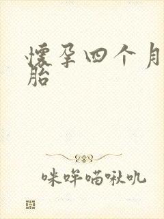 怀孕四个月做堕胎