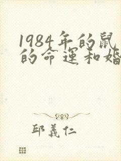 1984年的鼠的命运和婚姻